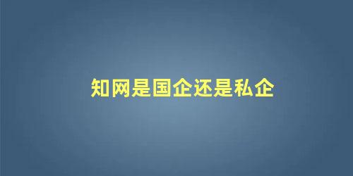 知网属于国企还是私企(知网是国企么)